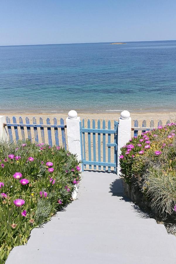 Anemos Seaside House Villa Skyros Exterior foto